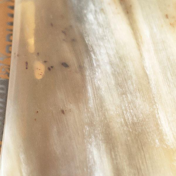 Rasoirs droits 5/8" carbon | Prima Corne de buffle